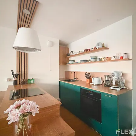 Spacious Two-bedroom In The 13th With Balcony Apartment